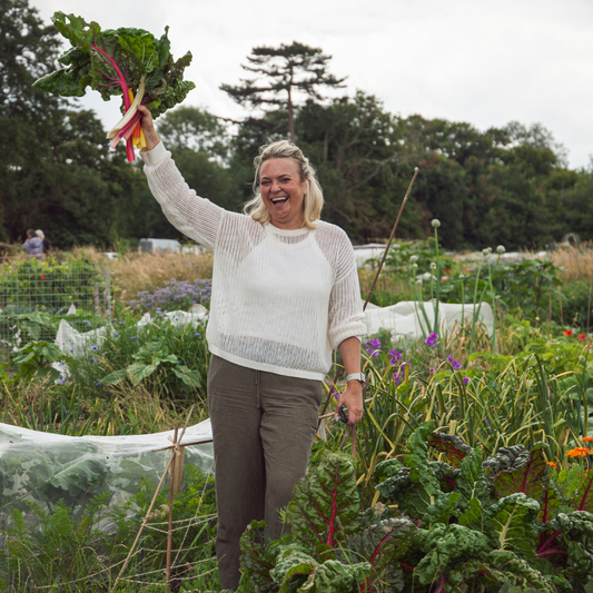 Tuckers Meadows Allotments, Newbridge, Bath